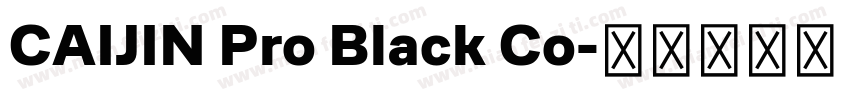 CAIJIN Pro Black Co字体转换